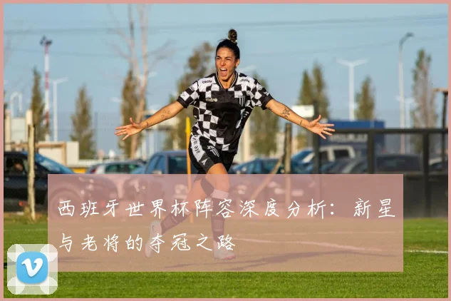 西班牙世界杯阵容深度分析:新星与老将的夺冠之路