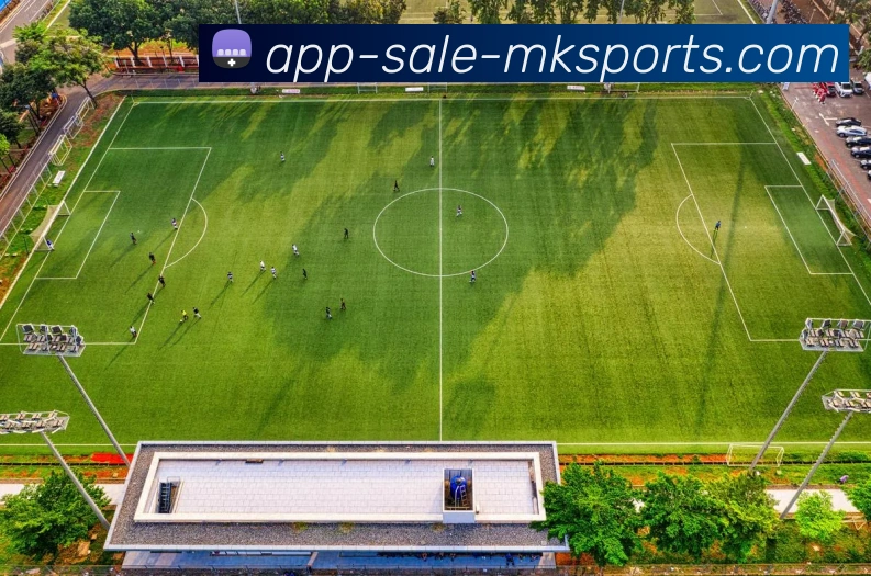 APP界面展示