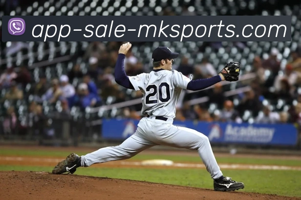 MK体育APP全站App